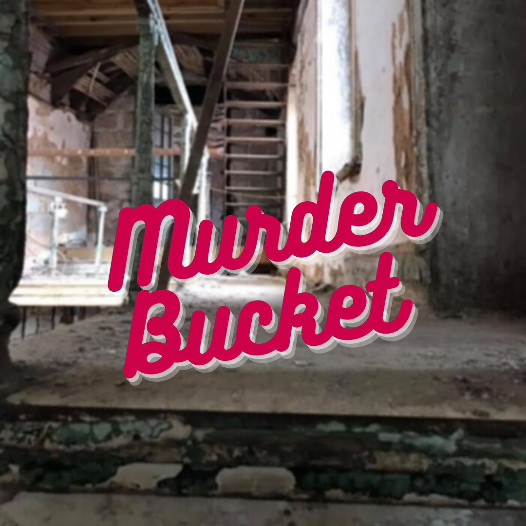 Isabella Stewart Gardner Museum Heist by Murder Bucket